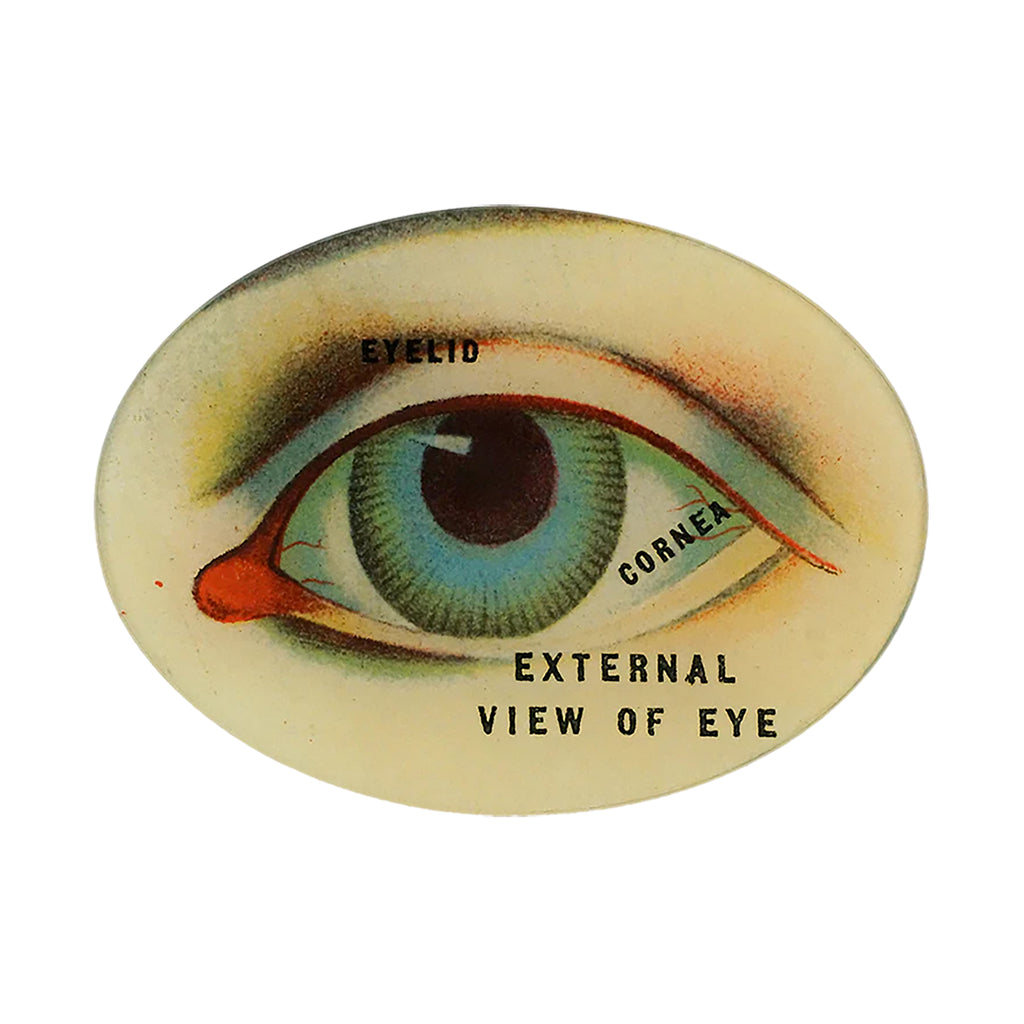 【JOHN DERIAN/ジョンデリアン】デコパージュプレート/External View of Eye