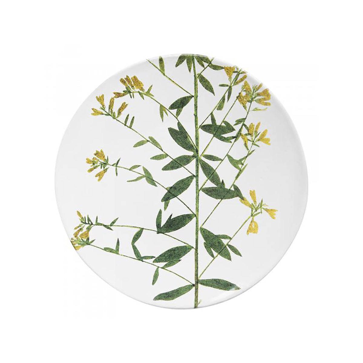 アスティエドヴィラット　ジョンデリアン　プレート Astier de Villatte John Derian｜皿・器｜オルネ ド フォイユ