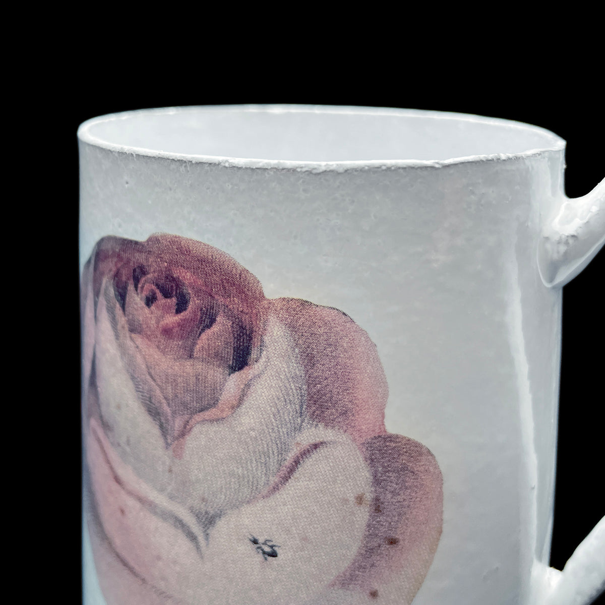 John Derian Rose with Insect ソーサー アスティエ john-derian-rose-saucer-
