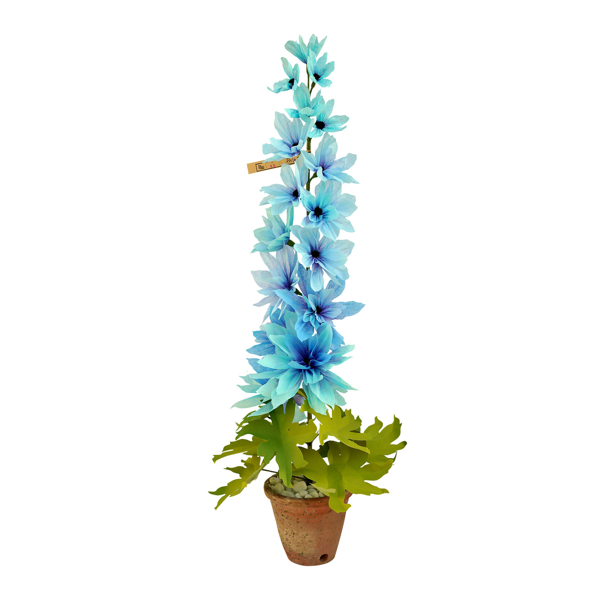 デルフィニウム / Delphinium Plant – POETRY READING