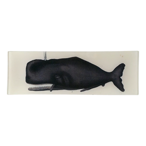 【JOHN DERIAN/ジョンデリアン】デコパージュプレート/Sperm Whale