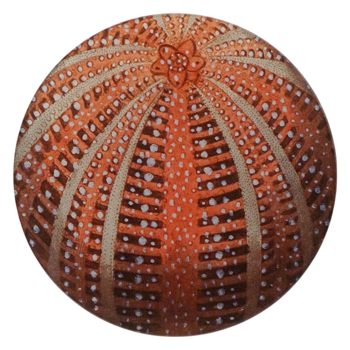 【JOHN DERIAN/ジョンデリアン】デコパージュプレート/Red Sea Urchin