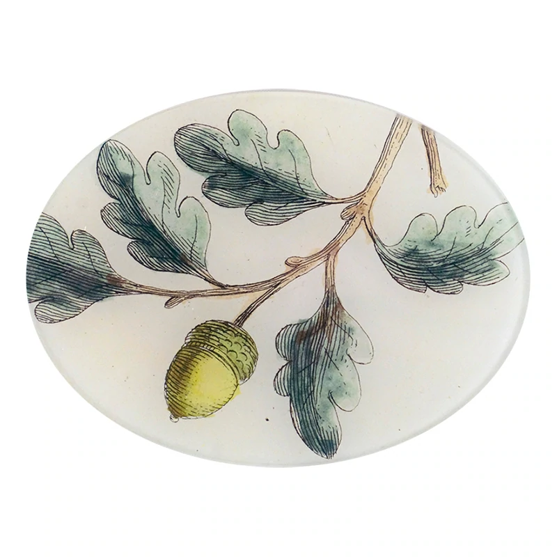 【JOHN DERIAN/ジョンデリアン】デコパージュプレート/ACORN JOHN DERIAN/ジョンデリアン】デコパージュプレート/Acorn (Titmouse