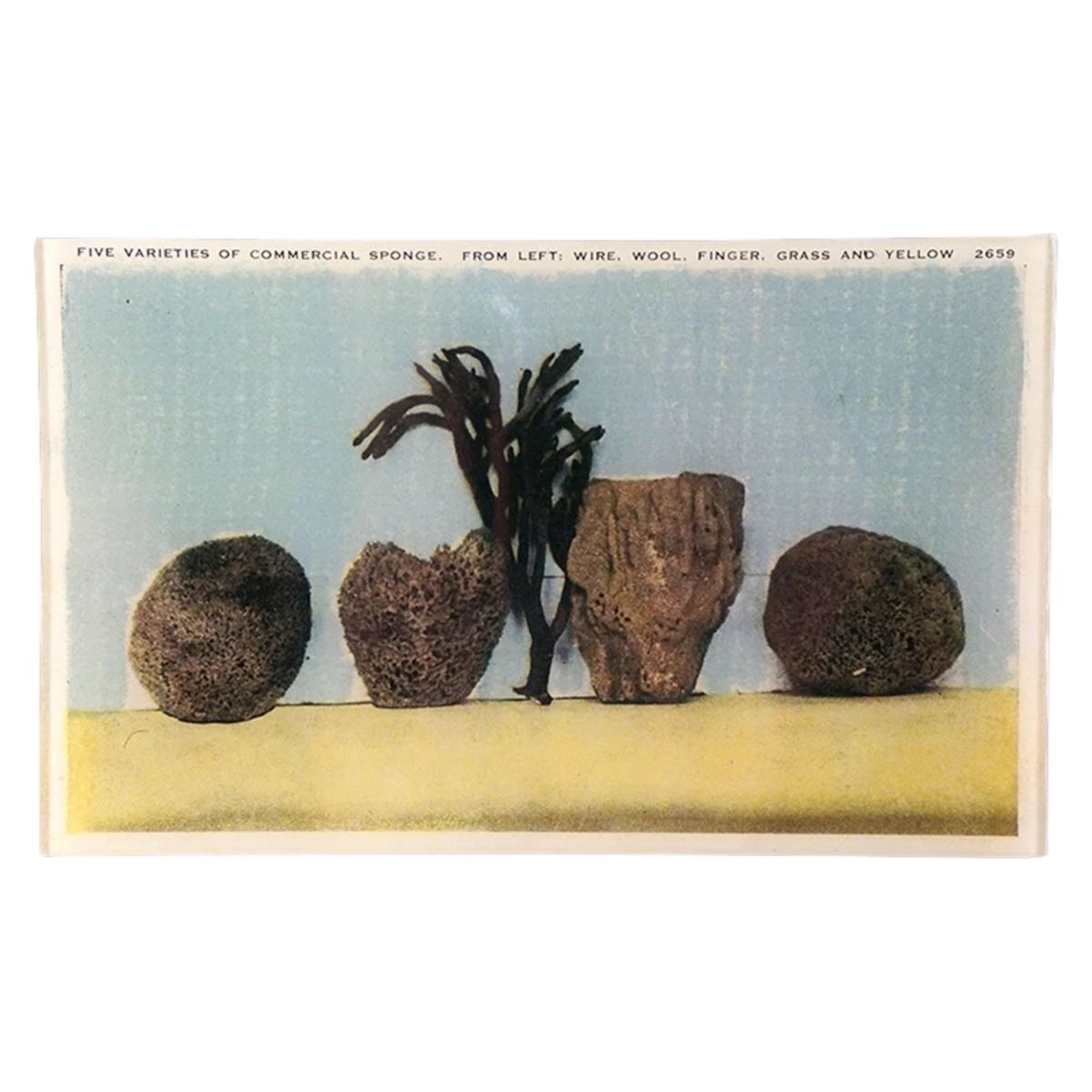 JOHN DERIAN/ジョンデリアン】デコパージュプレート/Commercial