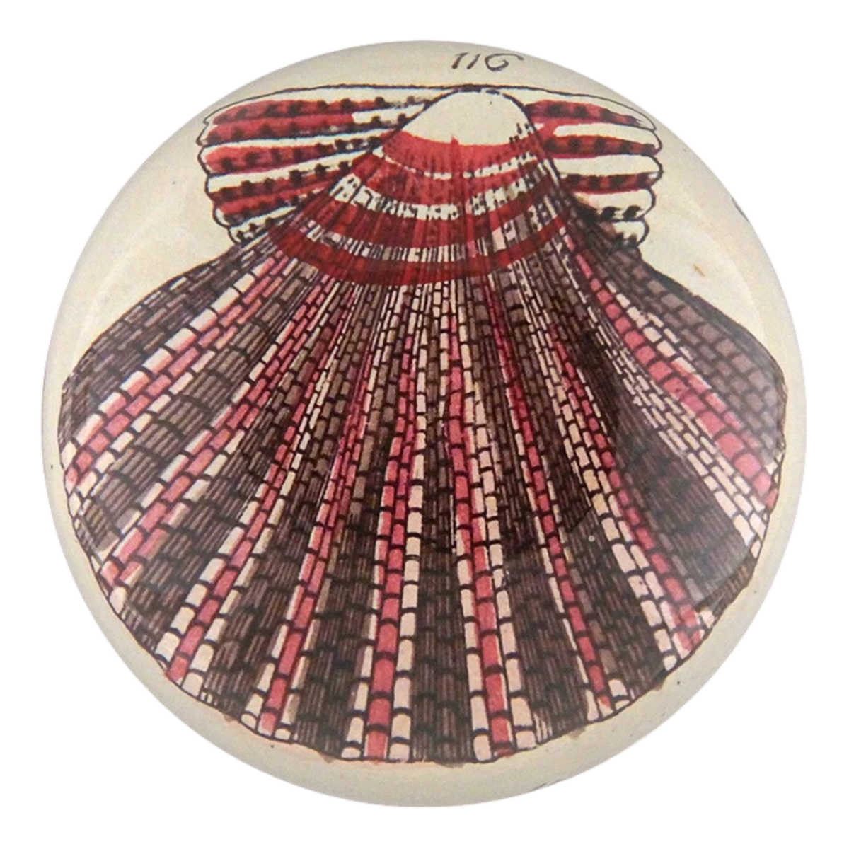 ジョンデリアン　デコパージュ　レインボー ジョンデリアン デコパージュ レインボー ジョンデリアン デコパージュ