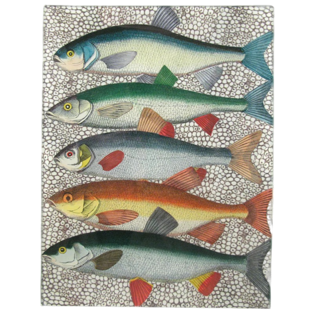 【JOHN DERIAN/ジョンデリアン】デコパージュプレート/Some Fish