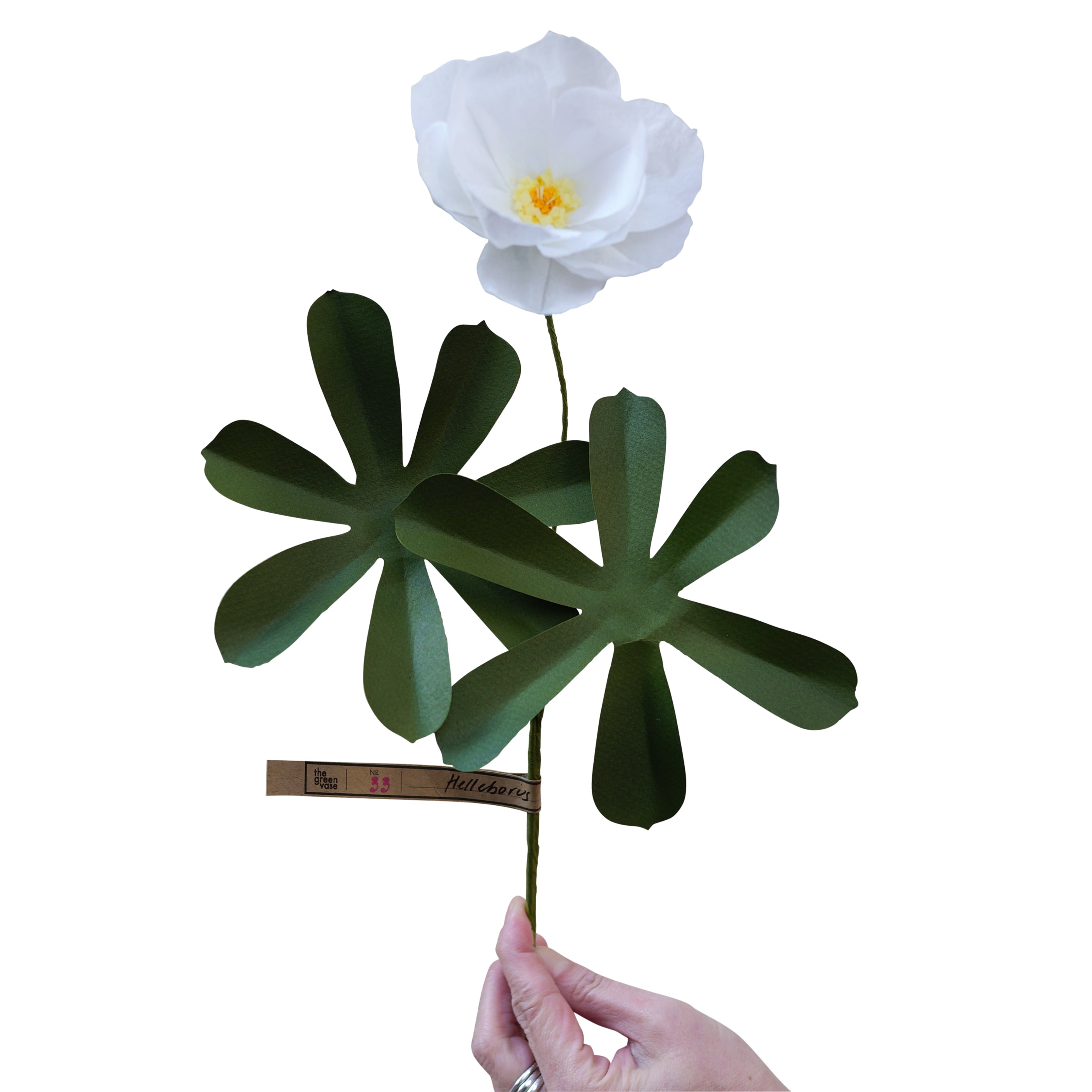 PAPER FLOWER / ペーパーフラワー – POETRY READING