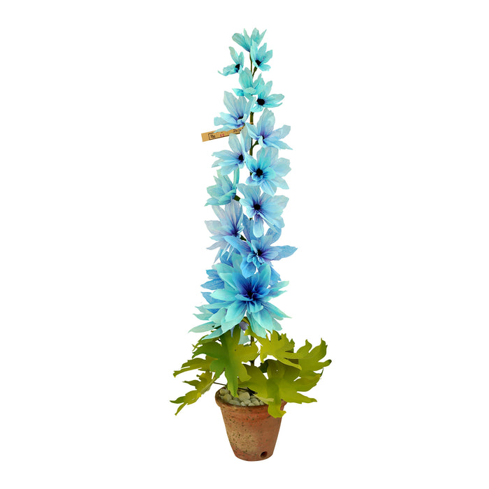 デルフィニウム / Delphinium Plant