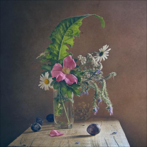 The remains of the summer