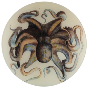 JOHN DERIAN/ジョンデリアン】デコパージュプレート/Octopus – POETRY JOHN DERIAN/ジョンデリアン】デコパージュプレート/Octopus – POETRY