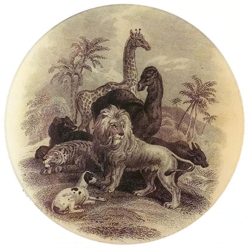 John Derian ジョンデリアンデコパージュアンモナイト John Derian ジョンデリアンデコパージュアンモナイト