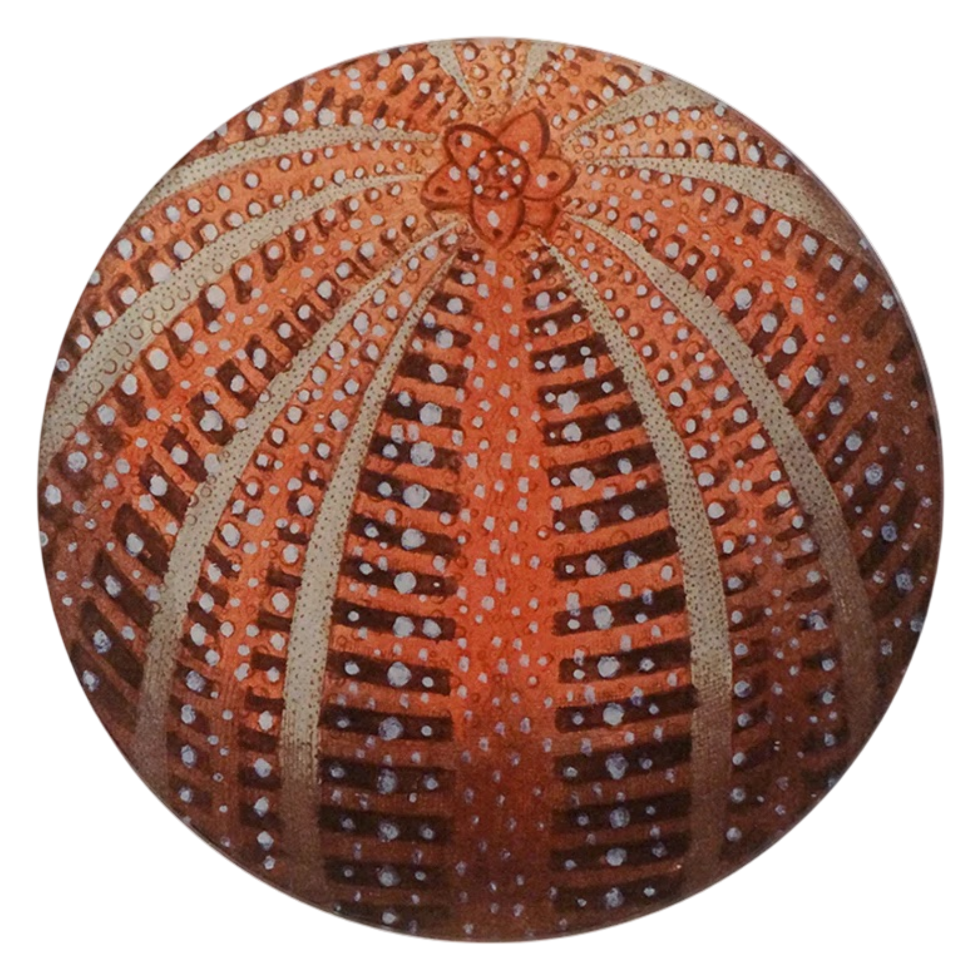 【JOHN DERIAN】デコパージュプレート Red Sea Urchin JOHN DERIAN/ジョンデリアン】デコパージュプレート/Red Sea Urchin