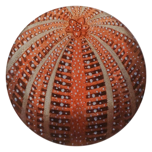 ジョンデリアン　JOHN DERIAN　デコパージュ　プレート 海 JOHN DERIAN/ジョンデリアン】デコパージュプレート/Red Sea Urchin