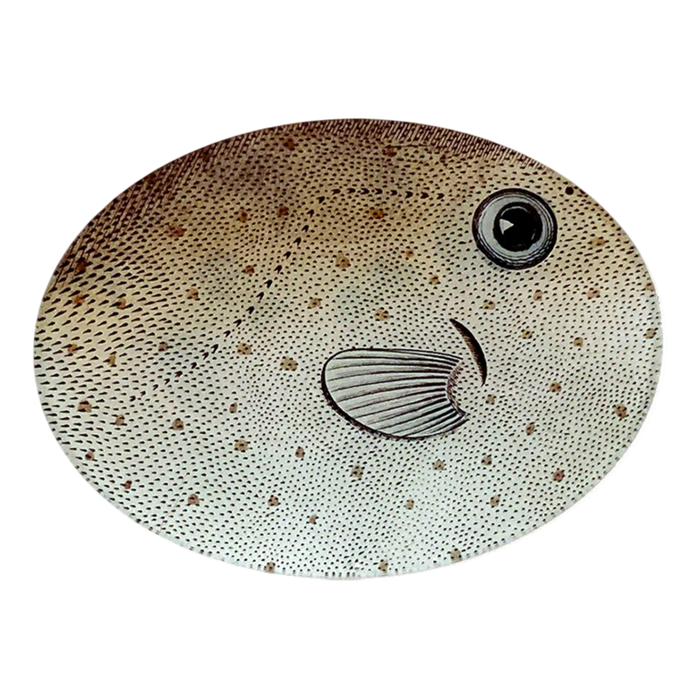 【JOHN DERIAN/ジョンデリアン】デコパージュプレート/Horn Fish