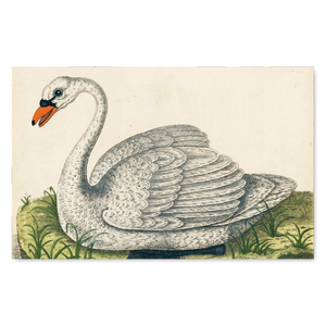 JOHN DERIAN/ジョンデリアン】ピクチャーブック/John Derian Picture JOHN DERIAN/ジョンデリアン】ピクチャーブック/John Derian Picture