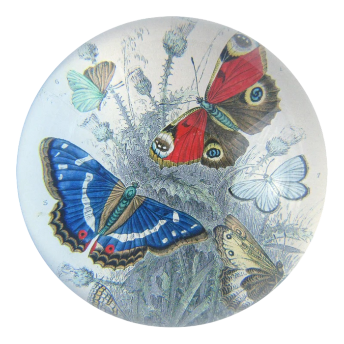 【JOHN DERIAN/ジョンデリアン】デコパージュペーパーウェイト/Butterflies