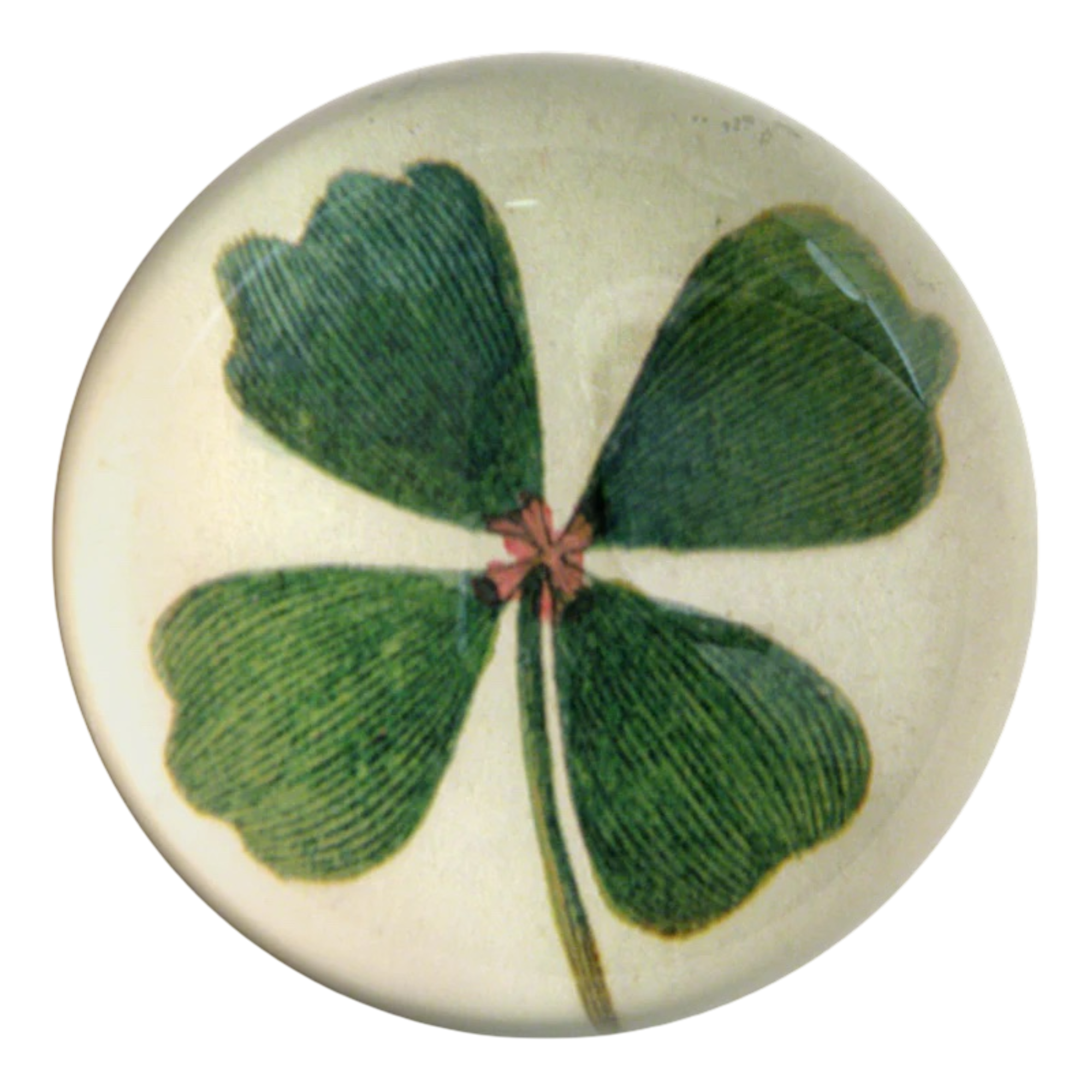 CDP-Clover_3_500x_2x_4752f049-