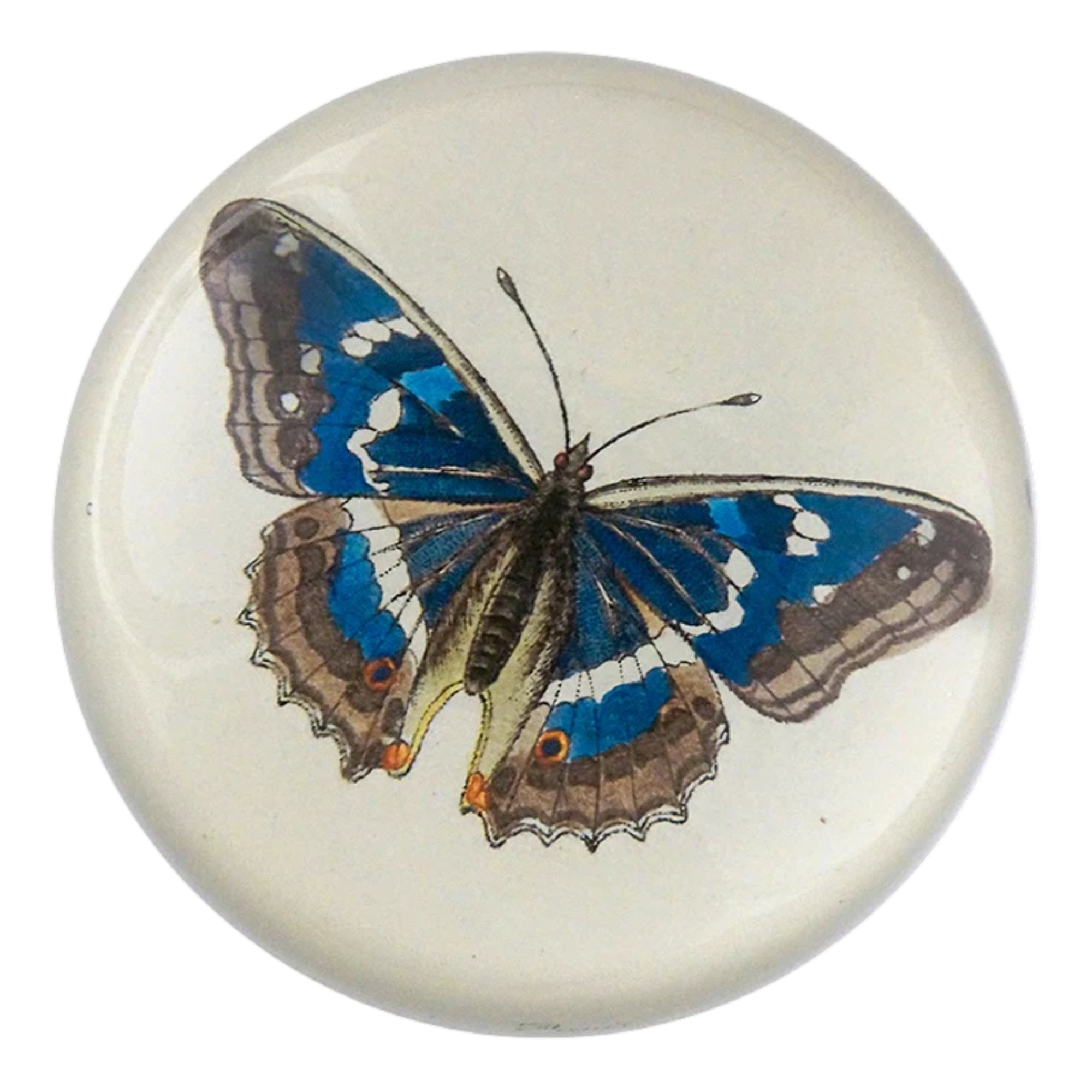 JOHN DERIAN デコパージュプレート Blue Butterfly 【公式通販】