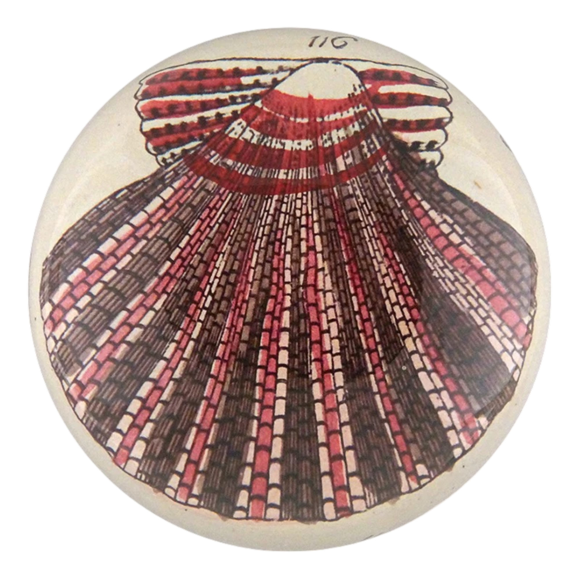 JOHN DERIAN/ジョンデリアン】デコパージュペーパーウェイト/Scallop