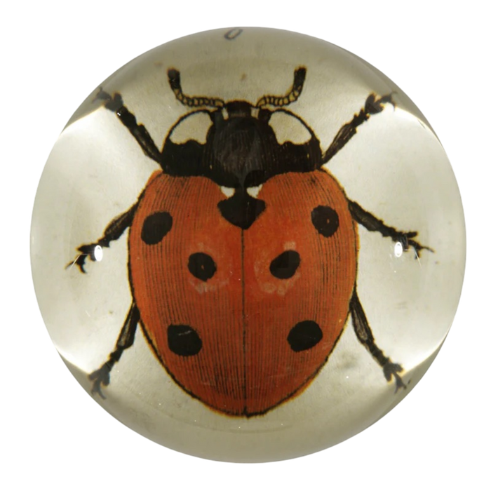 【JOHN DERIAN/ジョンデリアン】デコパージュペーパーウェイト/Red Ladybug