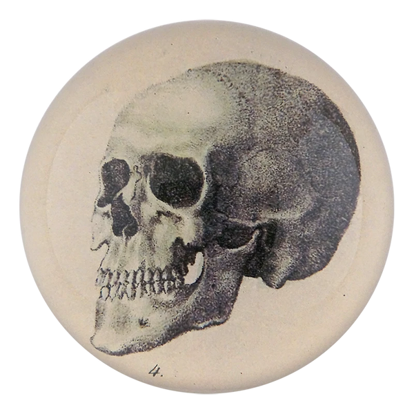 CDPSKU_grande.png?v=1642149741 CDPSKU_grande.png?v=1642149741