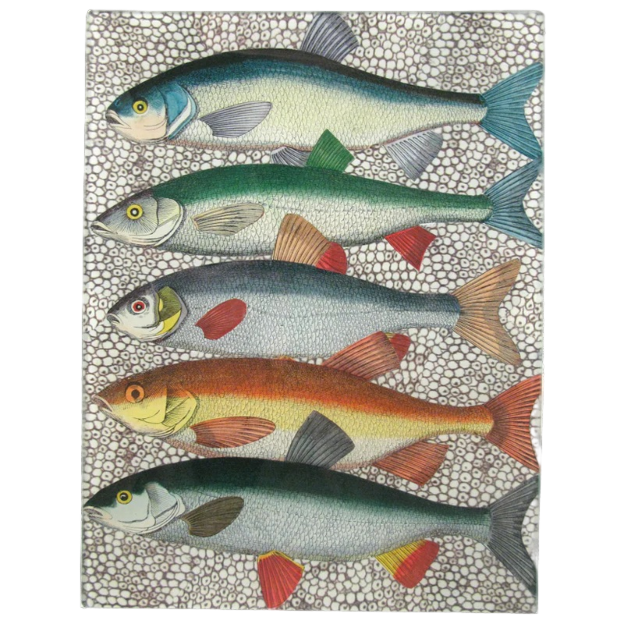 ジョンデリアン　デコパージュ John Derian ジョンデリアン デコパージュプレート ブルーフラワー