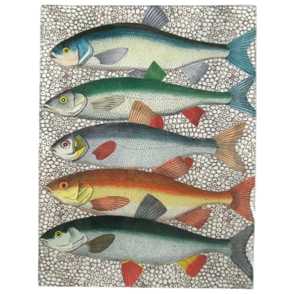 JOHN DERIAN/ジョンデリアン】デコパージュプレート/Some Fish JOHN DERIAN/ジョンデリアン】デコパージュプレート/Some Fish