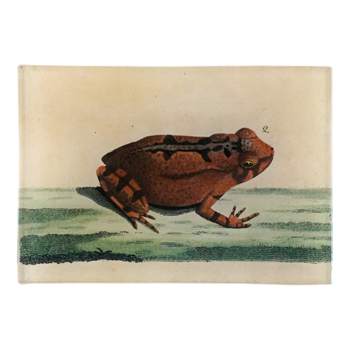 【JOHN DERIAN/ジョンデリアン】デコパージュプレート/Bufo Toad