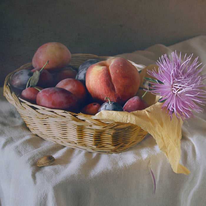 August Study