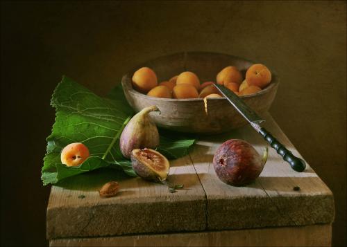Study with figs – POETRY READING